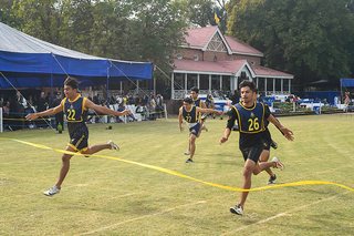 Mini-Sports Celebrations, 2025