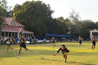 Mini-Sports Celebrations, 2025