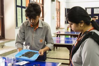 Aitchison College Science and Engineering Concept - 2024