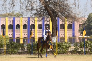 Senior Vahali Challenge Cup Jumps - School Works - 2023