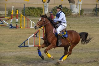 Senior Vahali Challenge Cup Jumps - School Works - 2023