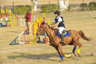 Senior Vahali Challenge Cup Jumps - School Works - 2023
