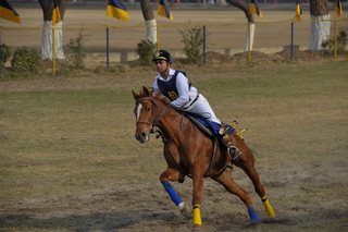 Senior Vahali Challenge Cup Jumps - School Works - 2023