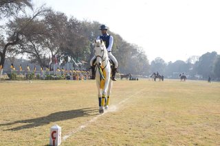 Senior Vahali Challenge Cup Jumps - School Works - 2023