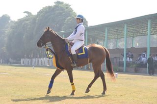 Senior Vahali Challenge Cup Jumps - School Works - 2023