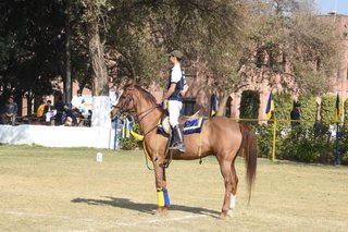 Senior Vahali Challenge Cup Jumps - School Works - 2023
