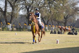Senior Vahali Challenge Cup Jumps - School Works - 2023