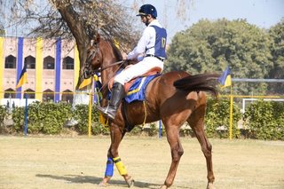 Senior Vahali Challenge Cup Jumps - School Works - 2023
