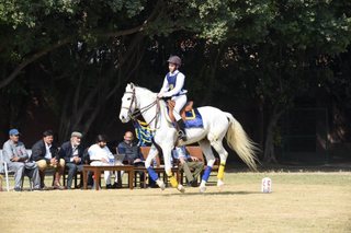 Senior Vahali Challenge Cup Jumps - School Works - 2023