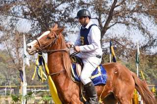 Senior Vahali Challenge Cup Jumps - School Works - 2023