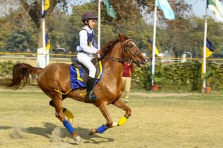 Senior Vahali Challenge Cup Jumps - School Works - 2023