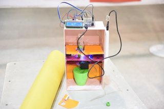 Prep Scientists Show Their Brains