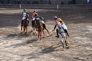 Arena Polo