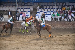 Arena Polo