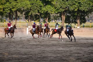 Arena Polo