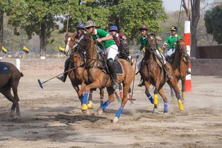 Arena Polo