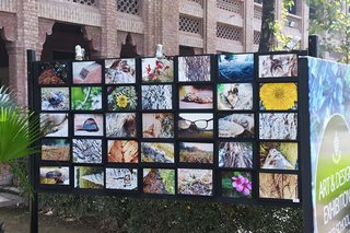 Annual Art Exhibition
