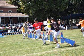 Junior School Sports Day