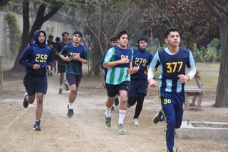 Open and Junior Cross Country 2023