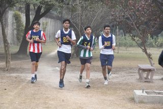 Open and Junior Cross Country 2023