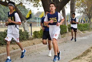 Open and Junior Cross Country 2023