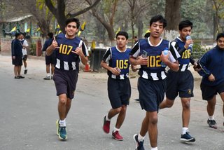 Open and Junior Cross Country 2023