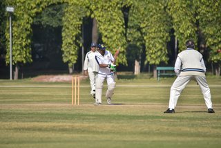 Photograph 35147