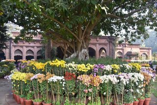 Principal Congratulates the Gardens Staff for 1st Placings in the Flower Show