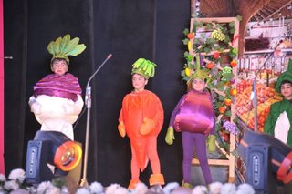 Junior School Lower Primary Annual Play