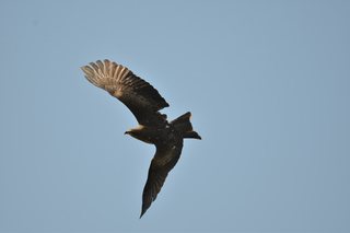 Photograph 3679