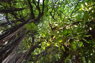 Photograph 3681