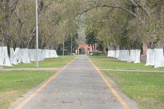 Photograph 3683
