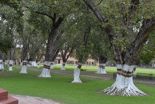 Photograph 3684