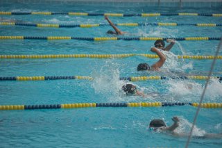 Mini Swim Meet Expands Involvement