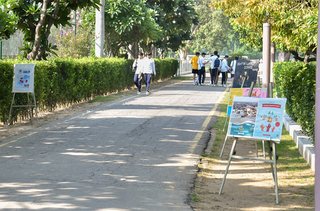 Photograph 40498