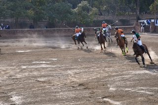 Arena Polo - February, 2022