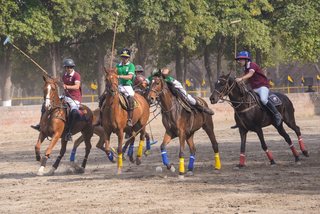 Arena Polo - February, 2022