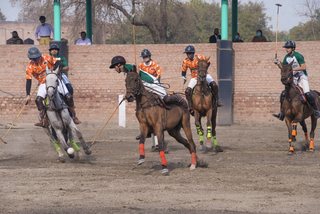 Arena Polo - February, 2022
