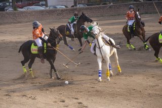 Arena Polo - February, 2022