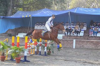 Vahali Challenge Cup