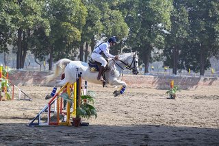 Vahali Challenge Cup