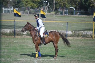 Dressage Championship Parades