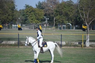 Dressage Championship Parades