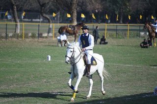 Dressage Championship Parades