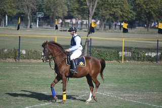 Dressage Championship Parades