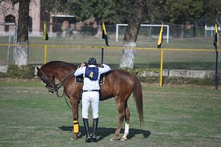 Dressage Championship Parades