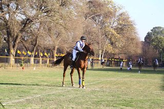 Dressage Championship Parades