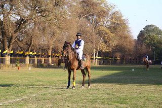Dressage Championship Parades