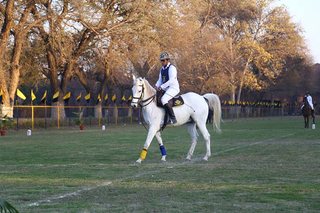 Dressage Championship Parades