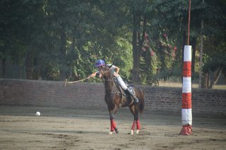 Aitchison Polo Players Performing Well